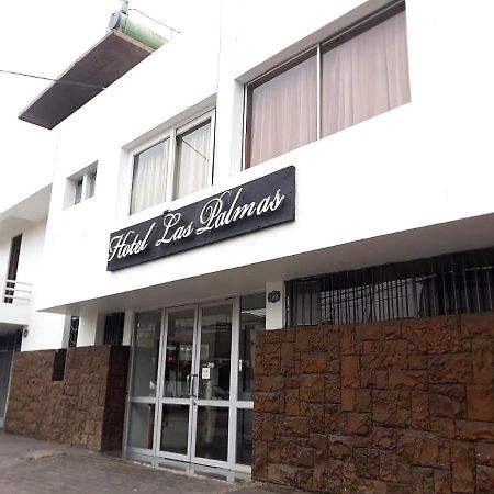 Hotel Las Palmas Arica Exterior photo
